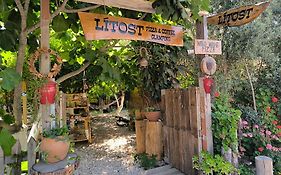 Litost Cafe